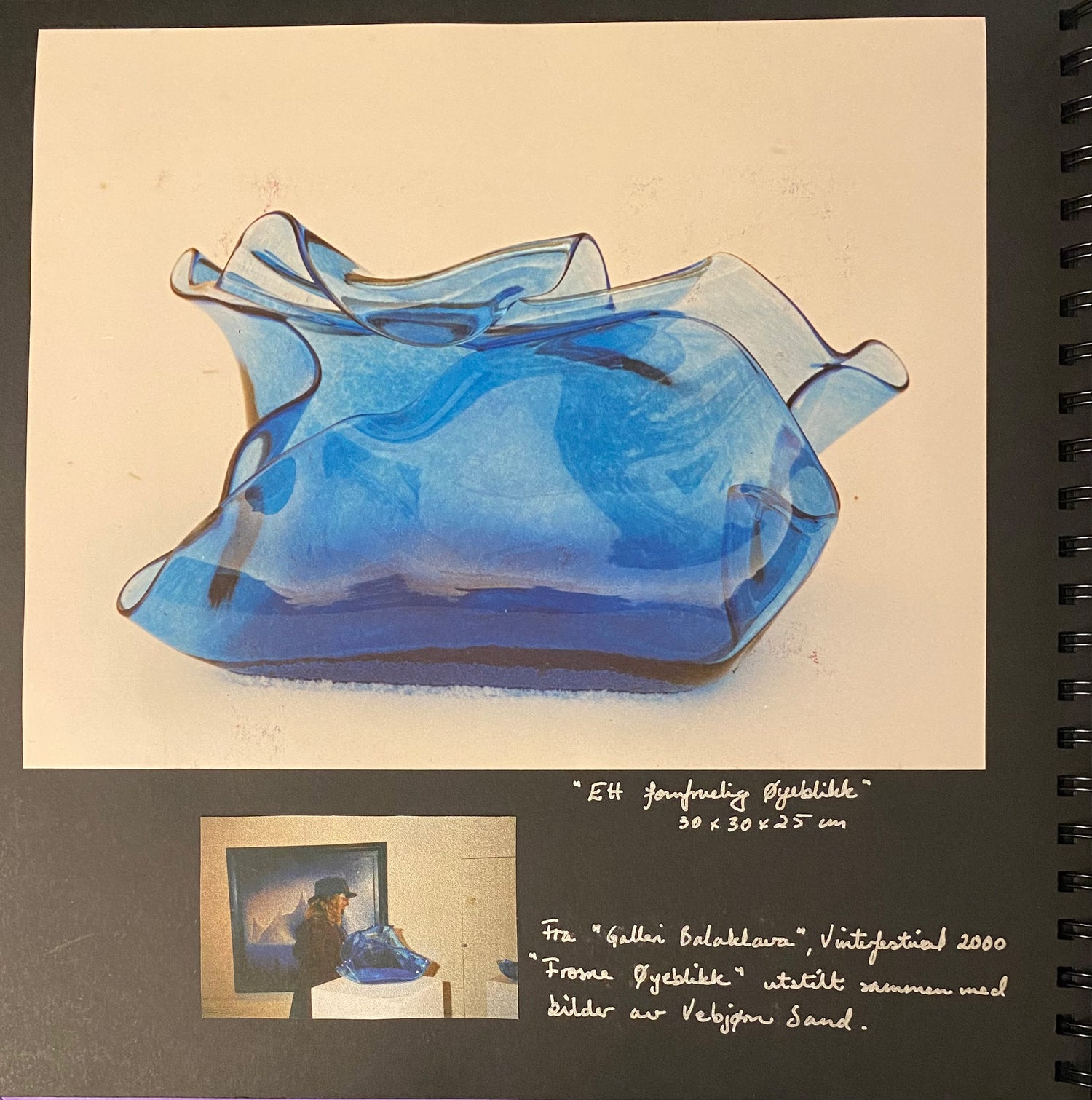 Displaying a photo album with 2 blue glass sculptures of Jenny Mørk with a women passing by and a painting of Vebjørn Sand in the background